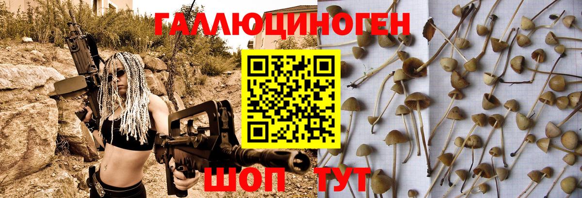 Галлюциногенные грибы Magic Shrooms Мценск